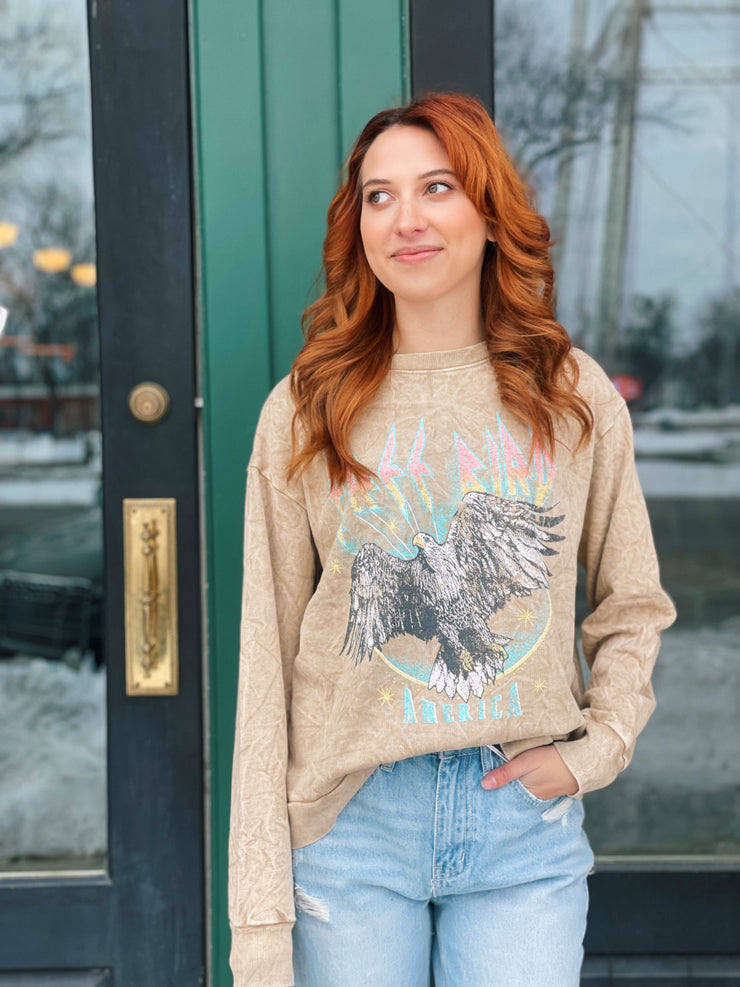 Free Bird America Vintage Graphic Sweatshirt-Taupe