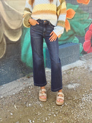 Renee Deep Dark Wash Tummy Control Jean
